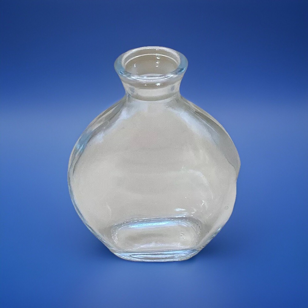 Bud Vase‎ Propagation Glass 4.5" Tall 3" Wide Decorative Plant Holder